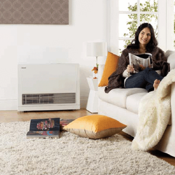 Rinnai Energysaver K559