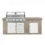 Napoleon Built In LEX 730 with Infrared Bottom and Rear Burners