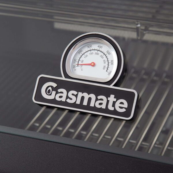 PLATINUM IV 6 BURNER INBUILT wside burner
