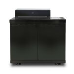 Phoenix Mk 2 CABINET ONLY